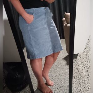 Covington Skirt Color: Periwinkle/dusty blue Size:16